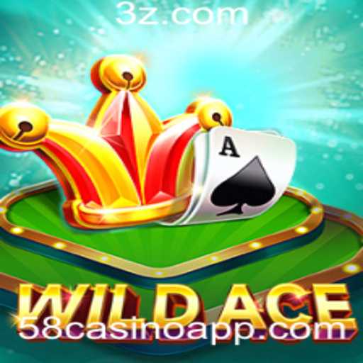Explorando o Mundo de WildAce: O Novo Fenômeno do 58casino